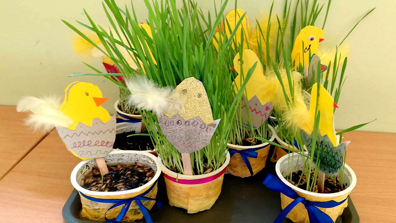 Pierwszaki zakładają wiosenne hodowle roślin